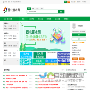 西北苗木网--苗木求购|绿化苗木价格|陕西苗木